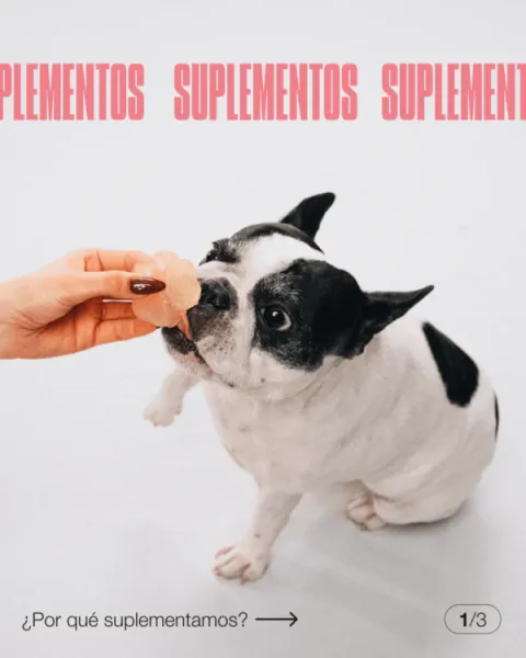 Suplementos