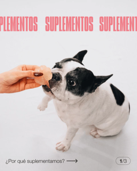 Suplementos