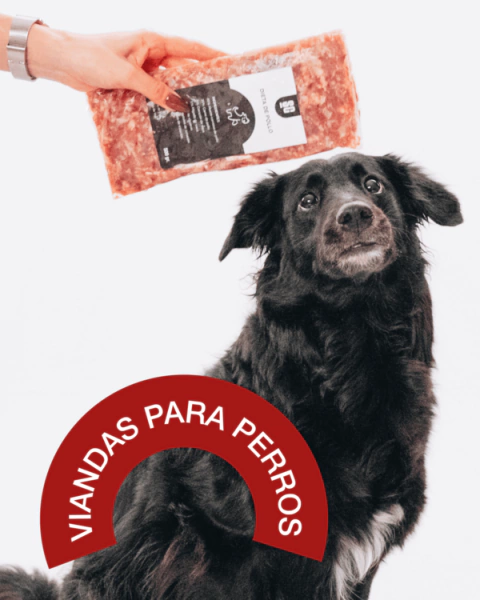 Viandas para perros
