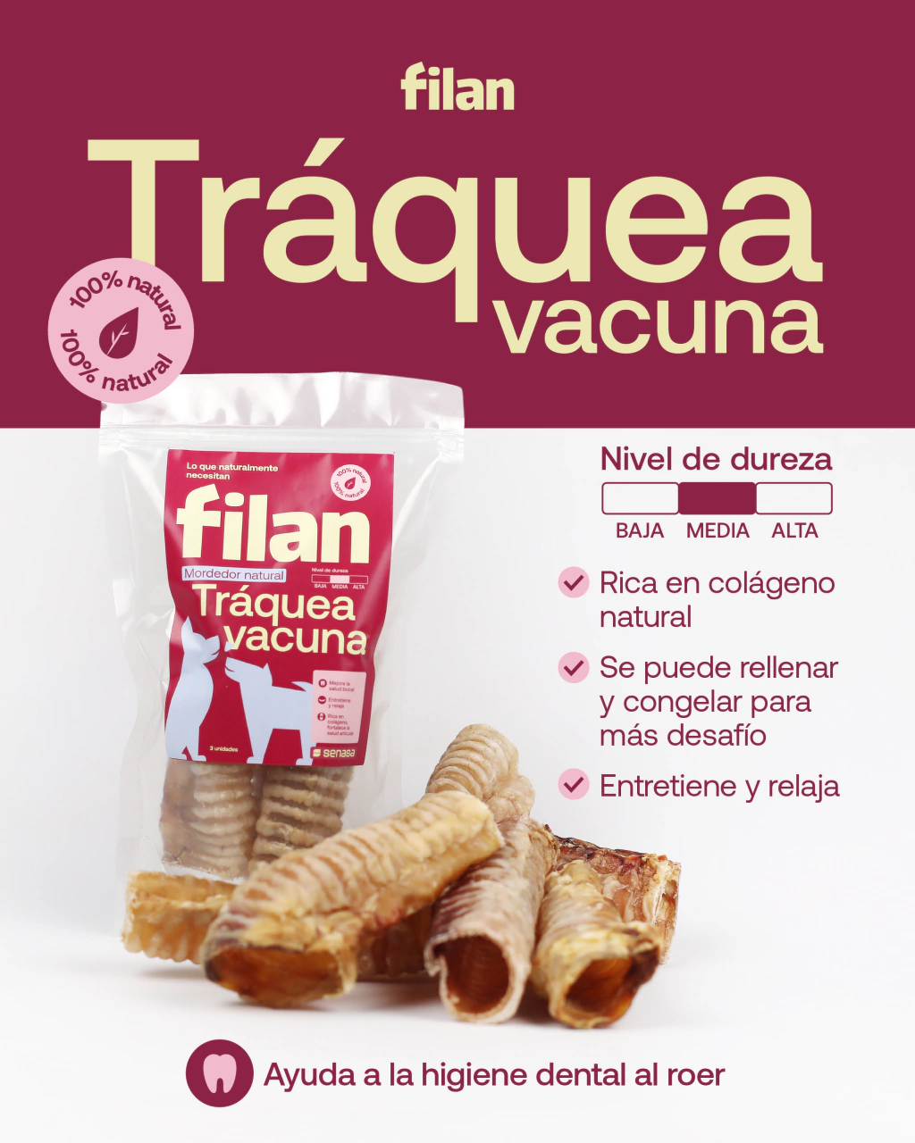 Tráquea vacuna FILAN